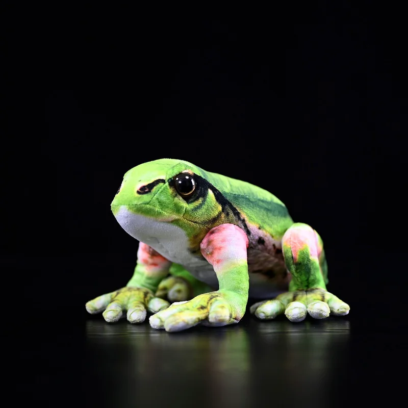 Lifelike Tree Frog Plush