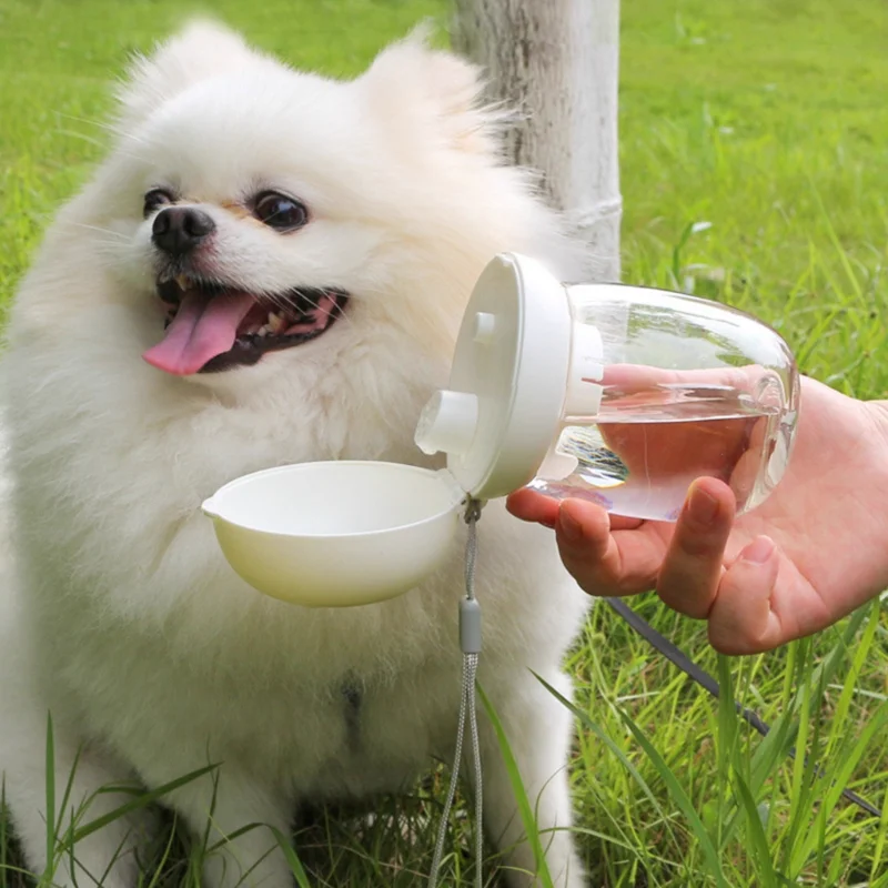 Pastel Dog Water Bottle