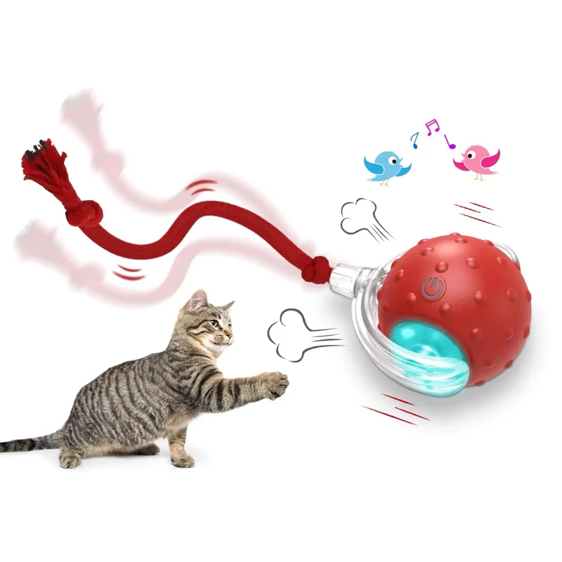Rolling Light Up Cat Ball